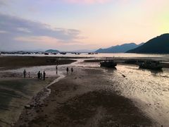 -小皓村