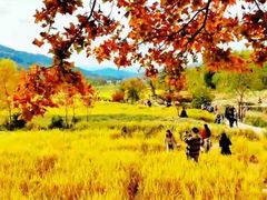 -塔川景区