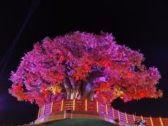 -中华郡文化旅游景区