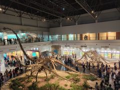 -自贡恐龙博物馆