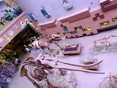 -陕西自然博物馆