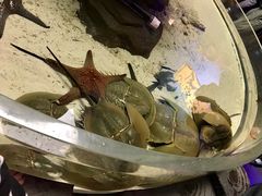 -石家庄海洋公园