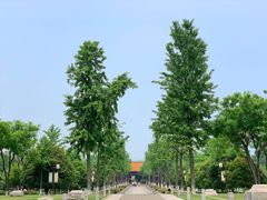 -明故宫遗址公园