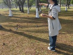 -万绿园