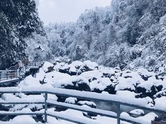 -龙苍沟森林公园