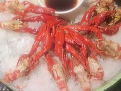 -红盔甲·小龙虾(人民广场店)