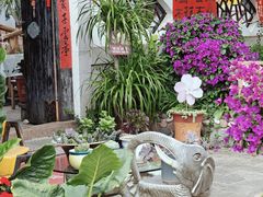 -云南民族村