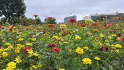 -大喜成国际宴会中心(金华店)