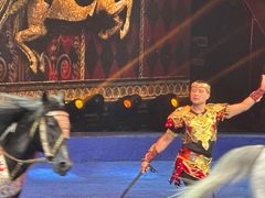 -珠海横琴长隆《卡卡虎奇遇记》