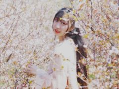 -南京市溧水区傅家边梅花山弄山庄