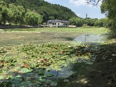 -北山公园