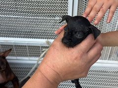 -前小桔亲子创意农场·草莓采摘·露营烧烤