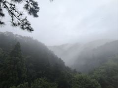 -庐山风景区花径公园