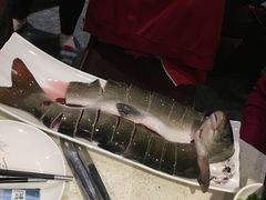 雅鱼-胖师鱼馆非遗砂锅雅鱼(大北街店)