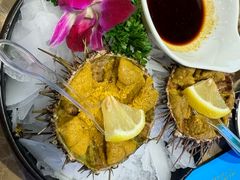 -老大连·海肠捞饭·大连海鲜大连菜(西安路店)