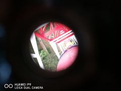 -哈尔滨文化公园