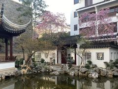-苏州吴宫泛太平洋酒店