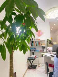 -瓷肌博士·祛痘科技美肤