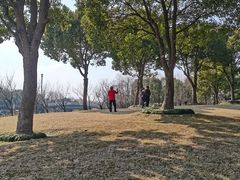 -南翔镇银翔湖公园