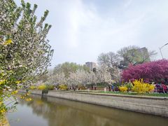 -元大都城垣遗址公园