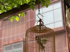 景观位-阿姨食堂