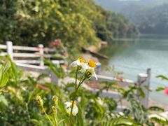 -广州市白云山风景名胜区