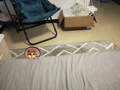 -联合动物医院(光谷诊疗中心)