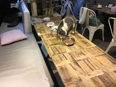 -小时光咖啡馆(开森度假森林店)