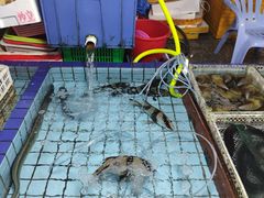 -霞涌市场海鲜摆卖区
