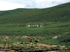 -莲宝叶则景区