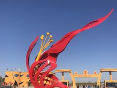 -金塔沙漠胡杨林景区