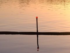 -南湖宾馆·鸳湖阁全日制餐厅