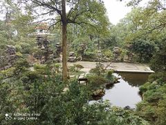 -南山植物园