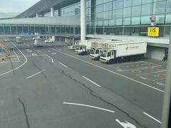 -青岛胶东国际机场
