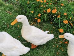 -Club Med地中海俱乐部·桂林度假村