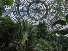 -郑州植物园
