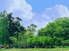 -两河城市森林公园