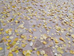 -艾提尕尔清真寺