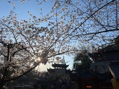 -鸡鸣寺