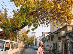 -北京稻香村(零号店)