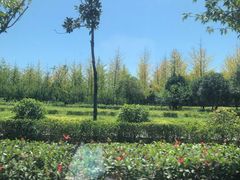 -洨河生态公园