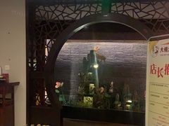 -大桶大足浴(江桥店)