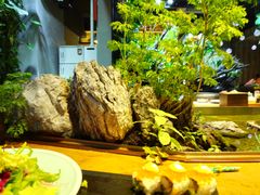 -森味薪火烧•烧鸟居酒屋•日本料理(望京店)