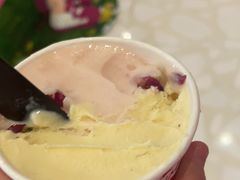 -莉莉熊Lililove Gelato (意大利手工冰淇淋)