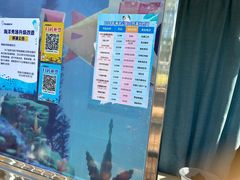 -芜湖新华联大白鲸海洋公园