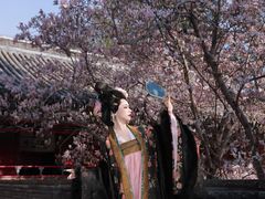 -潭柘寺景区