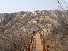 -大岭沟猕猴桃谷风景区
