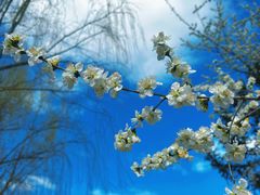 -中关村生命科学园