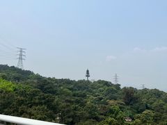 -仙岳公园