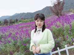 -斯瑞特国际酒店